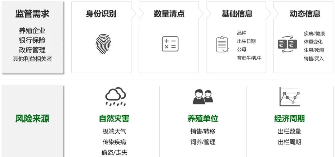 1660811612186325.jpg 01.jpg