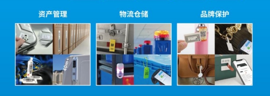 1730259542261400.jpg 202410240100.jpg